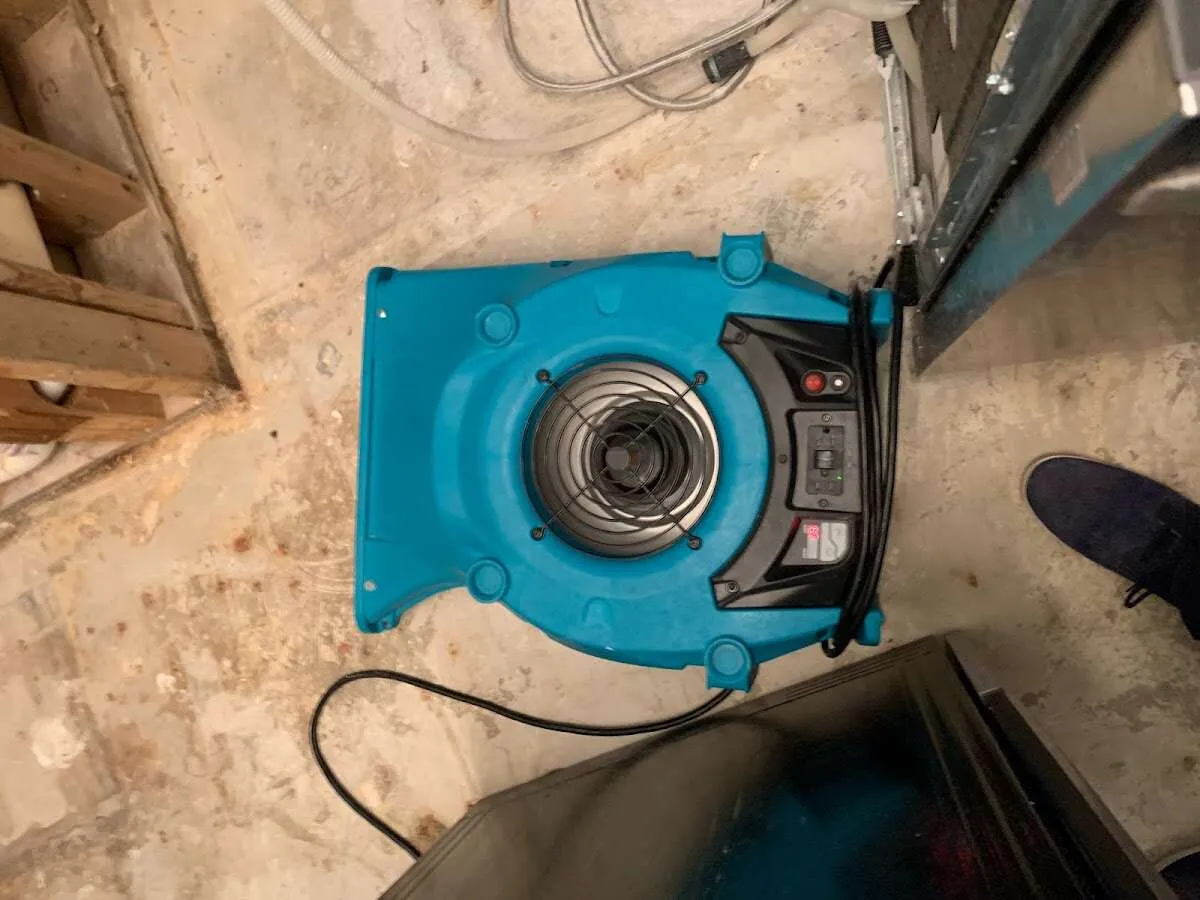 Air mover drying equipment for Mold Remediation & Removal in Clinton
